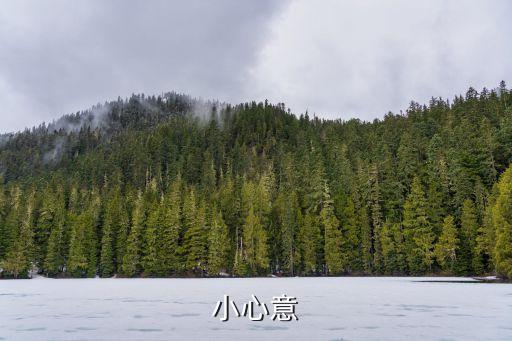 一點(diǎn)小心意