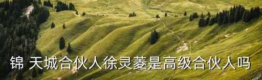 錦天城