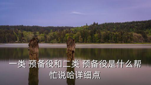 一類(lèi) 預(yù)備役和二類(lèi) 預(yù)備役是什么幫忙說(shuō)哈詳細(xì)點(diǎn)