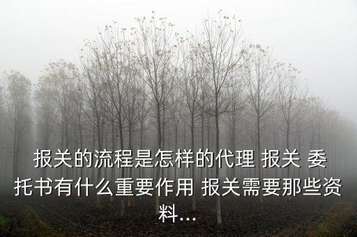  報關(guān)的流程是怎樣的代理 報關(guān) 委托書有什么重要作用 報關(guān)需要那些資料...