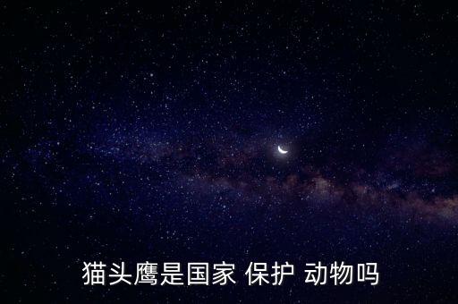 貓頭鷹是幾級保護(hù)動物,野生貓頭鷹是幾級保護(hù)動物