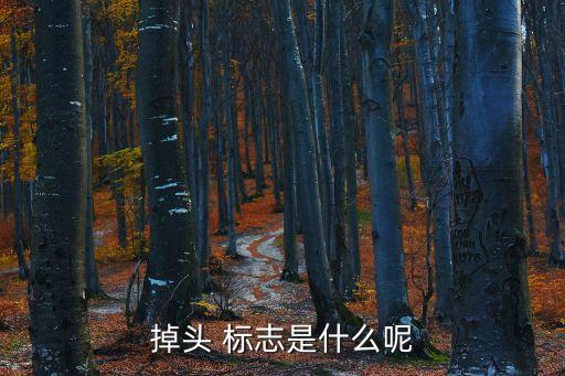 禁止調(diào)頭標(biāo)志,禁止掉頭標(biāo)志是指路段還是路口