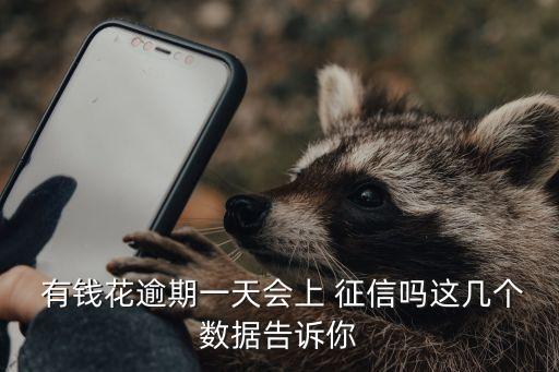  有錢花逾期一天會上 征信嗎這幾個數(shù)據(jù)告訴你