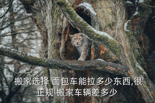 個人面包車搬家,面包車小件搬家