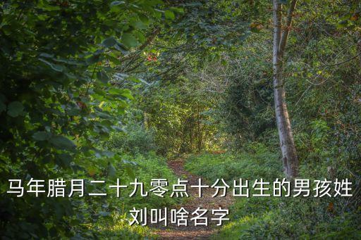 劉孝文