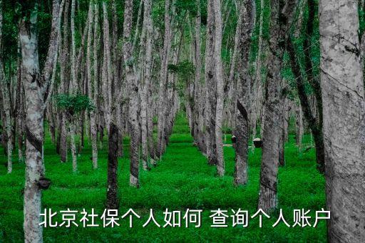 北京養(yǎng)老保險查詢