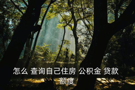 公積金貸款額度查詢,住房公積金貸款額度查詢
