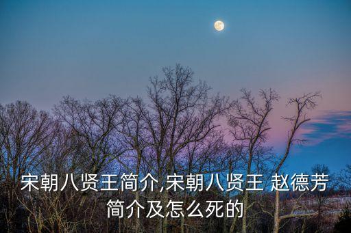 趙德芳