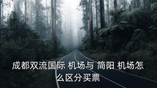 簡陽機場