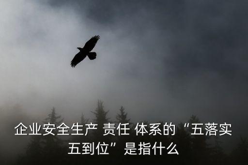 企業(yè)安全生產(chǎn) 責(zé)任 體系的“五落實(shí)五到位”是指什么