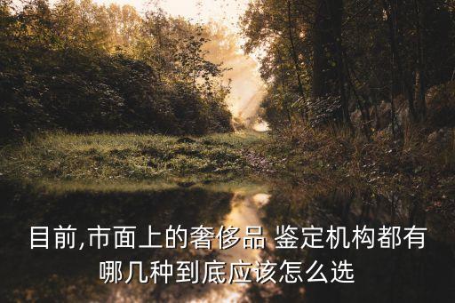 鑒定平臺(tái),奢侈品回收鑒定平臺(tái)