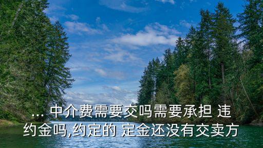 定金合同違約需要付中介費(fèi)嗎,二手房定金合同違約需要支付中介費(fèi)嗎