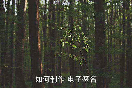 生成電子簽名,word如何生成電子簽名