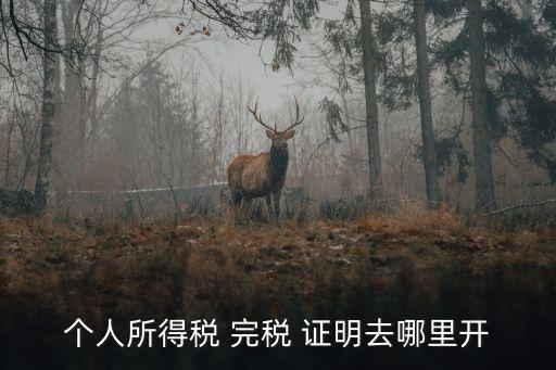 完稅證明在哪里打印,個人完稅證明自己怎么從網(wǎng)上打印