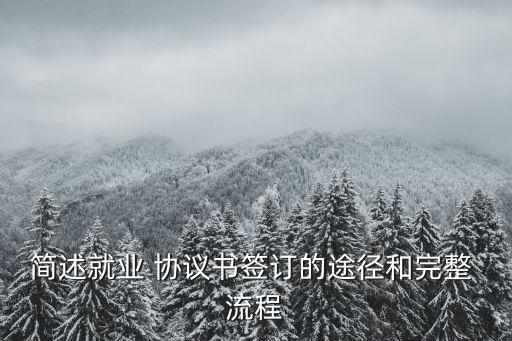 協(xié)議簽署流程,戰(zhàn)略合作協(xié)議簽署流程
