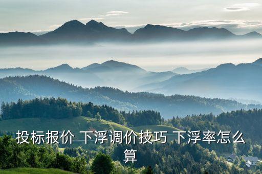 下浮率