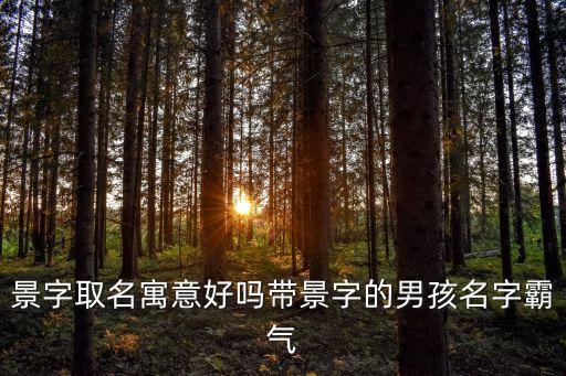 景民,四合院:平平無奇李景民