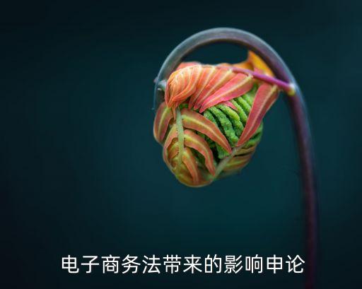 淺談對(duì)電子商務(wù)法律法規(guī)的認(rèn)識(shí),電子商務(wù)法律法規(guī)論文3000字