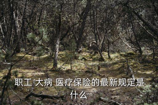 職工大病醫(yī)療保險(xiǎn),城鎮(zhèn)職工大病醫(yī)療保險(xiǎn)