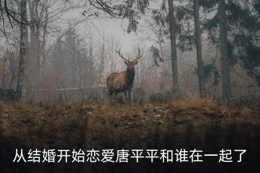 唐萍,唐謀天下全文免費(fèi)閱讀