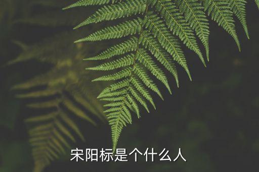 揚州晚報