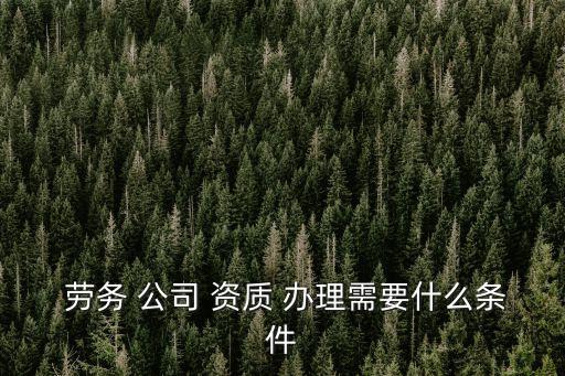  勞務(wù) 公司 資質(zhì) 辦理需要什么條件