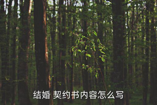 無效契約執(zhí)江子