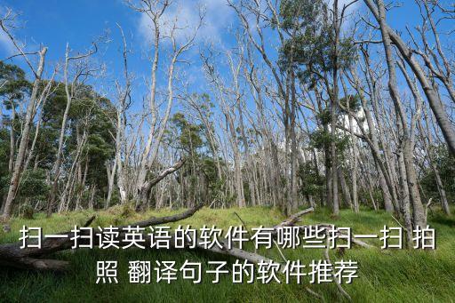 掃一掃讀英語(yǔ)的軟件有哪些掃一掃 拍照 翻譯句子的軟件推薦