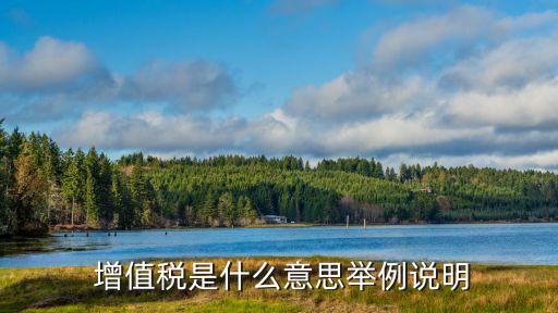 增值稅是啥意思,一張圖看懂增值稅原理