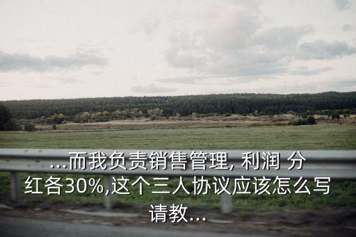 ...而我負(fù)責(zé)銷售管理, 利潤 分紅各30%,這個(gè)三人協(xié)議應(yīng)該怎么寫請(qǐng)教...