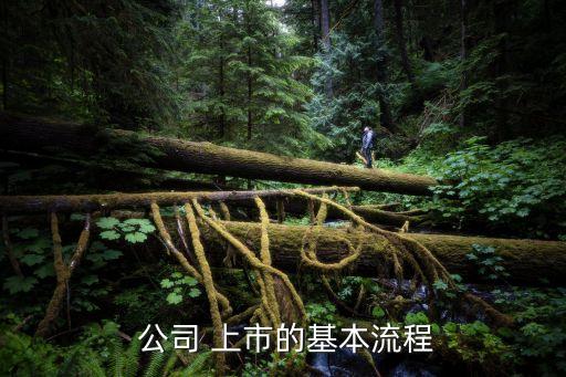 公司怎么上市,公司上市的條件和要求