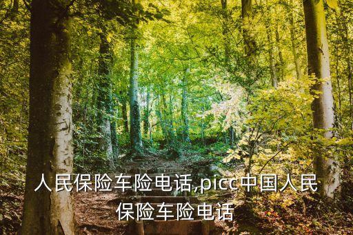 中國人民保險(xiǎn)車險(xiǎn)電話,picc中國人民保險(xiǎn)車險(xiǎn)電話
