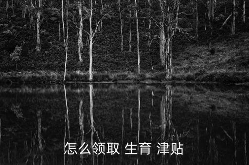 如何申請(qǐng)生育津貼,女方未就業(yè)男方如何申請(qǐng)生育津貼