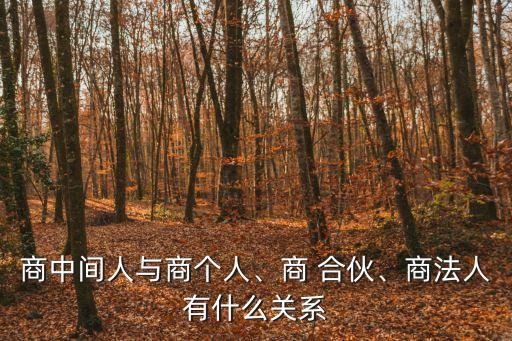 商中間人與商個人、商 合伙、商法人有什么關(guān)系