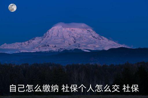 如何自己交社保,外地人在北京如何自己交社保