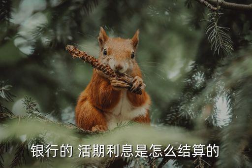 銀行卡活期利率,怎么查看銀行卡活期利率