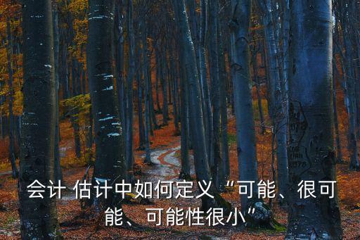 會(huì)計(jì)估計(jì)