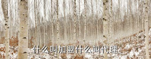 什么叫加盟什么叫代理