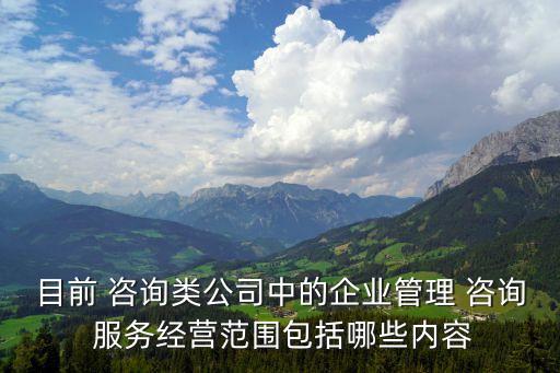 咨詢服務(wù)的