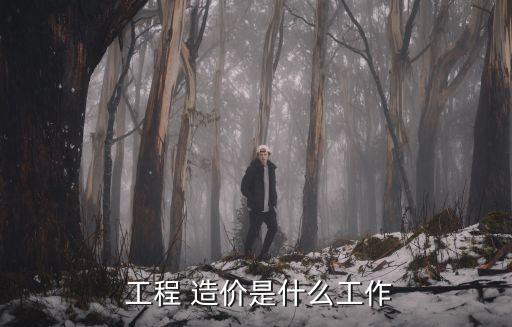 工程造價是干嘛的,建造師證怎么考取需要什么條件