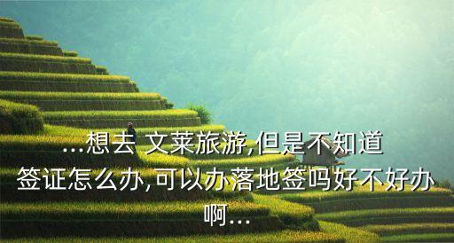 文萊簽證