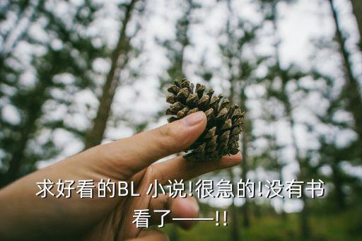 亂奸小說