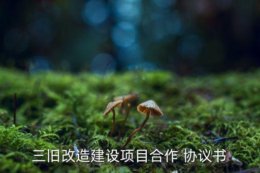 三舊改造建設(shè)項目合作 協(xié)議書