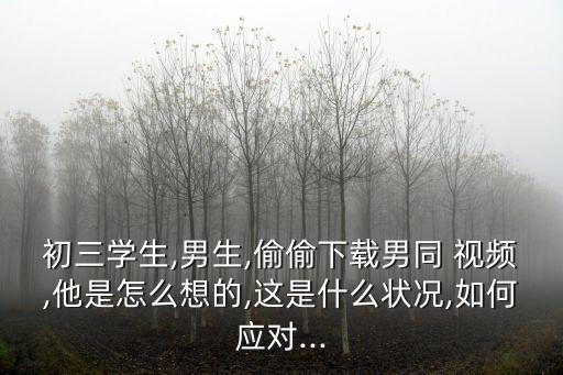 初三學(xué)生,男生,偷偷下載男同 視頻,他是怎么想的,這是什么狀況,如何應(yīng)對(duì)...