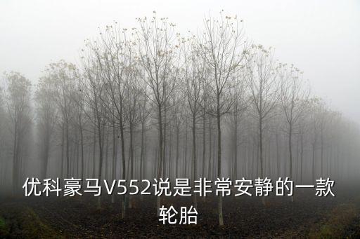 齒輪效應,棘輪效應