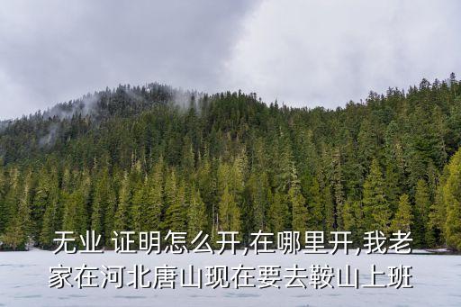 無(wú)業(yè)證明怎么開(kāi),入職需要無(wú)業(yè)證明怎么開(kāi)