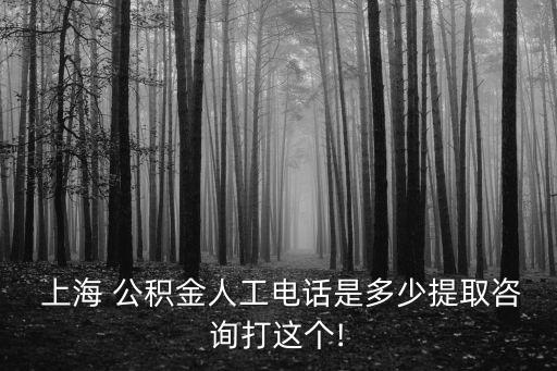  上海 公積金人工電話是多少提取咨詢打這個!