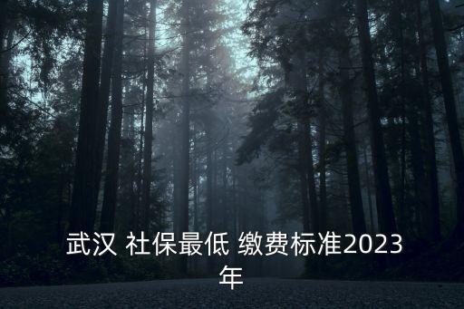  武漢 社保最低 繳費(fèi)標(biāo)準(zhǔn)2023年