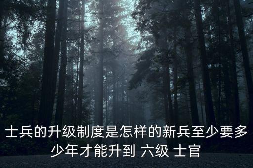 六級(jí)士官,全國(guó)有多少六級(jí)士官