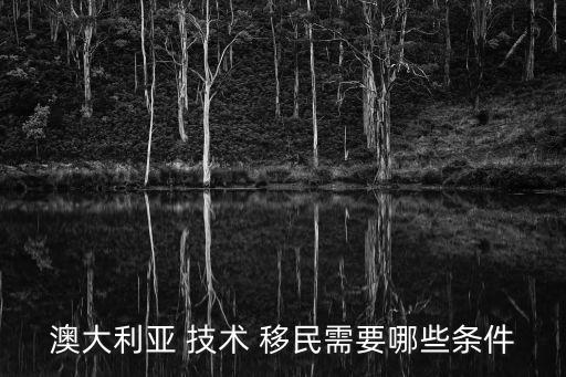 澳洲技術(shù)移民